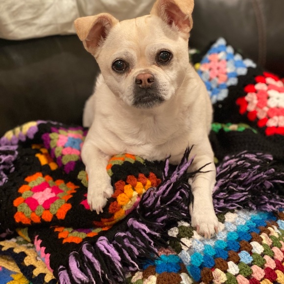 Meet your Posher, Sarah - Picture 6 of 8